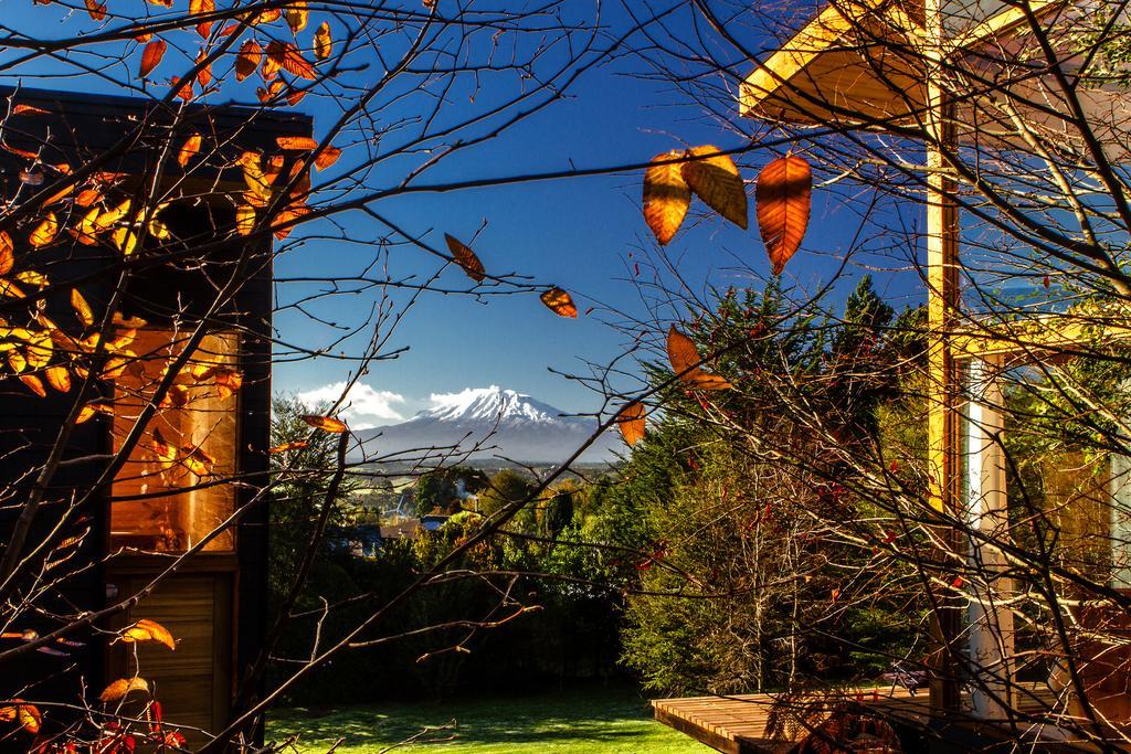 Las Magnolias Lofts Villa Puerto Varas Bilik gambar